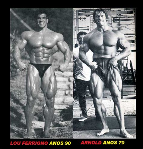 Fitness Muscle Schwarzenegger Vs Lou Ferrigno