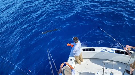 January 25th Fishing Report From Offshore Costa Rica Quepos Fishing