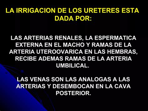 Anatomia Y Fisiologia Veterinaria Sistema Renal Ppt