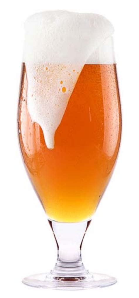 Saison Farmhouse Ale – Grain2Glass