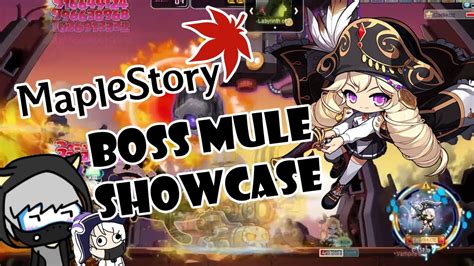 Boss Mule Showcase Corsair Maplestory Youtube