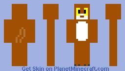 holycats orange cat Minecraft Skin