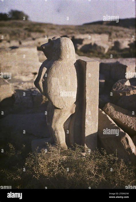 Karnak Egipto Frica Estatua Del Dios Thoth En El Templo De Mut