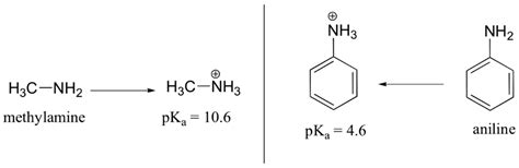 214 Acidity And Basicity Of Amines Chemistry Libretexts