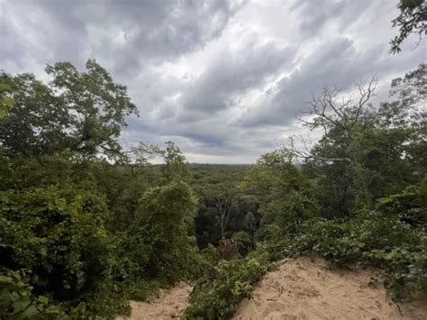 2023 Best Easy Trails in Indiana Dunes State Park | AllTrails