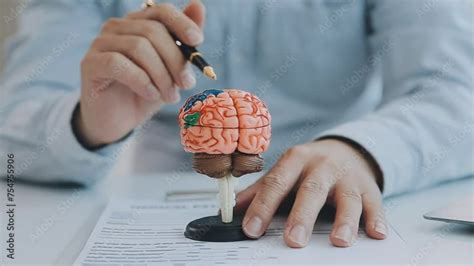 Neurologist Hand Pointing Brain Anatomy Human Model And Brain Disease