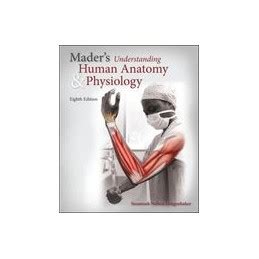 Mader S Understanding Human Anatomy Physiology