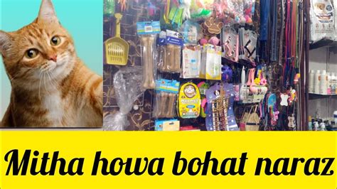 Mithy Ko Itna Gussa Kue Ayacats Ki Shopping Ki Youtube