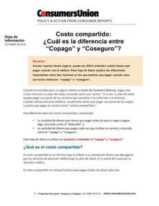 Qué tipos de copago hay Listapara