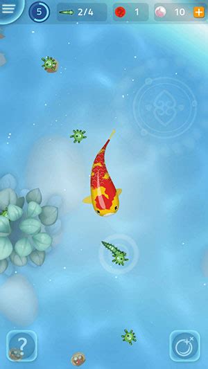 Tips For Collecting Rare Fish In Zen Koi 2