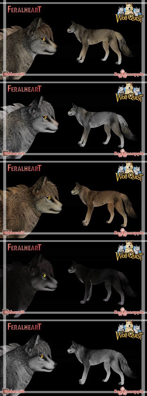 Old Feralheart Free Wolfquest Presets By 0abarai0 On Deviantart