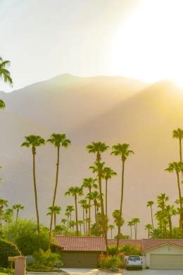 Palm Springs I Migliori Tour Cose Da Fare Nel Cancellazione