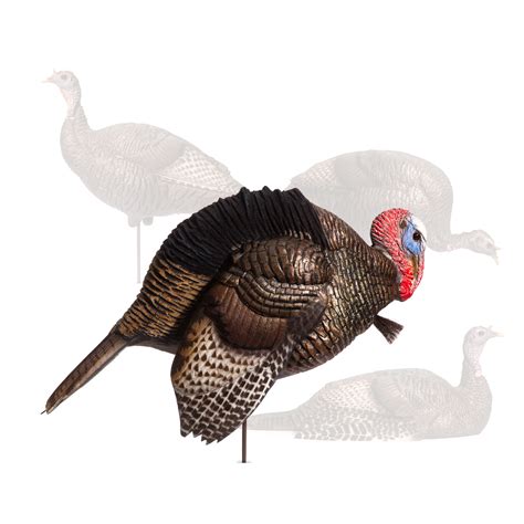 Custom Flock | Mating Motion Jake – Dave Smith Decoys