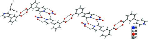 The One Dimensional Hydrogen Bonded Supramolecular Chains In The Download Scientific Diagram