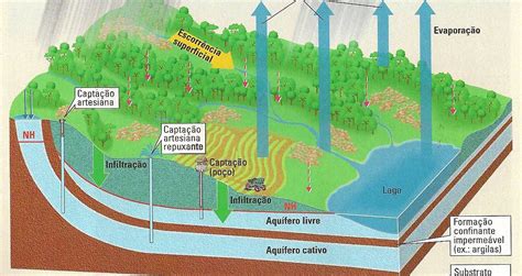 Portefólio De Biologia E Geologia Águas Subterrâneas