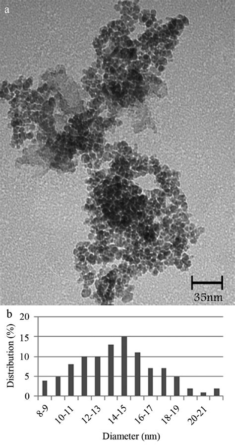 TEM Micrograph Of The MNPs A And Corresponding Particle Size