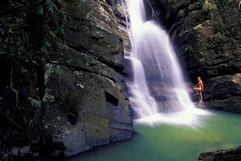 El Yunque Travel Lonely Planet Puerto Rico Caribbean