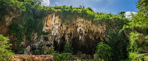 Gua Maria Tritis Jogja Update Foto Lokasi Rute Tiket Masuk