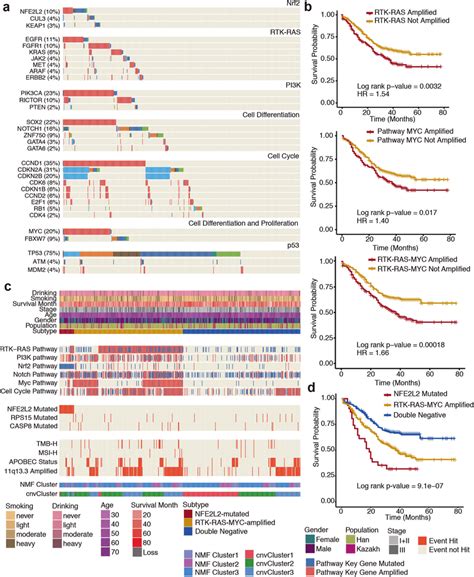 Genomic Alterations In Actionable Targets And Cancer Pathways And An Download Scientific