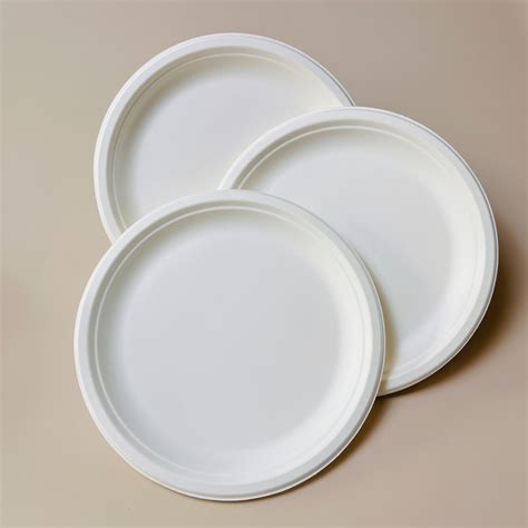 9 Inch Sugarcane Bagasse Pulp Biodegradable Disposable Round Paper