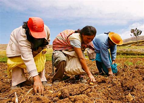 Editorial Día Internacional De Las Mujeres Rurales Idehpucp Pucp