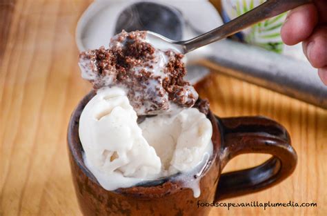 Moist Chocolate Mug Cake Vegan Style Foodscape