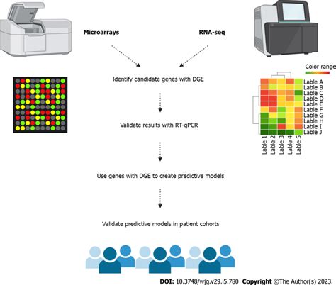 Typical Workflow Of Bulk Transcriptome Analysis In Translational