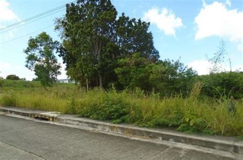 150 Sqm Lot For Sale In Vista Grande Talisay Cebu City With Seaview