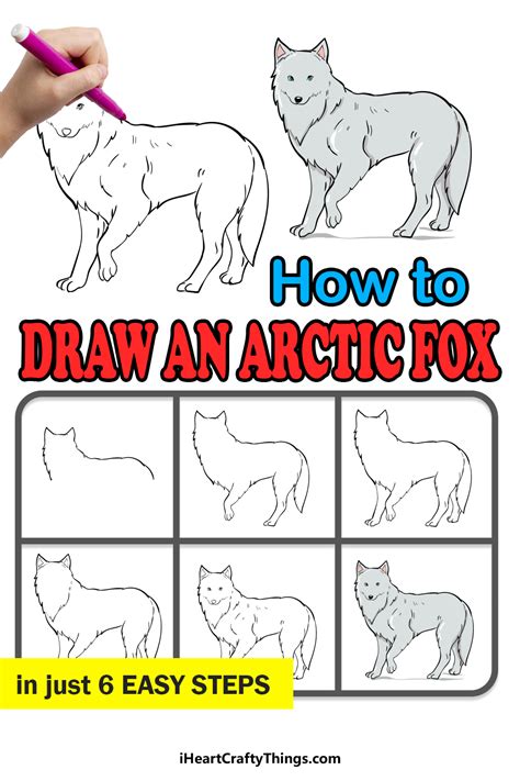 how to draw an arctic fox How to draw arctic fox - Step by Step Drawing