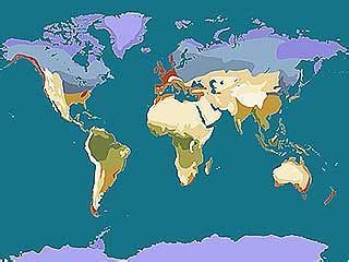 Desert climate | Britannica.com