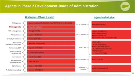 NASH Treatment: Review Of Current And Future Therapies For Non ...