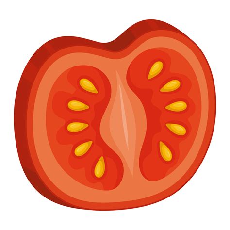 ilustración de rodaja de tomate 3837287 Vector en Vecteezy