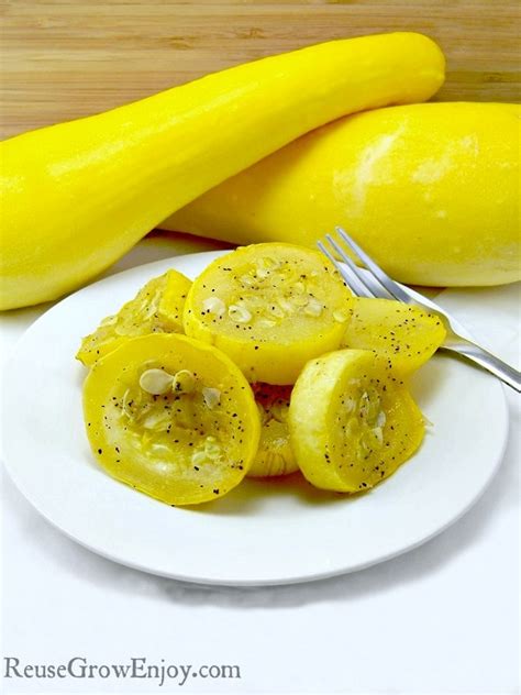 Summer Squash Recipe Yummy And Healthy Reuse Grow Enjoy