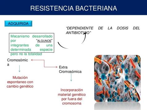 Resistencia Bacteriana