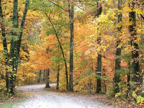 Here Are The Best Times And Places To View Fall Foliage In Southern