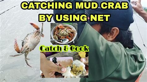 Catching Mud Crabs And Mud Clams Catch And Cook Cotabato City Youtube