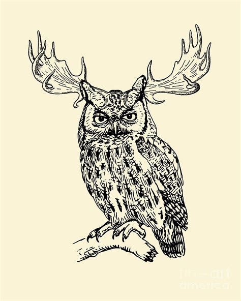 Whimsical Owl With Antlers Digital Art by Madame Memento - Fine Art America