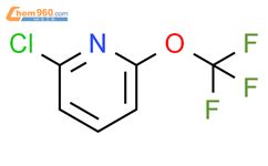 2 Chloro 6 trifluoromethoxy pyridine 1221171 70 5 上海一基生物科技有限公司销售部 960化工网