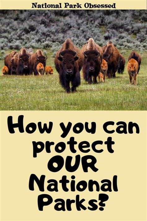 How You Can Protect Our National Parks National Park Obsessed