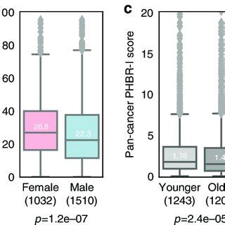 Integrated Sex And Age Specific Analysis A PHBR I And B PHBR II Scores