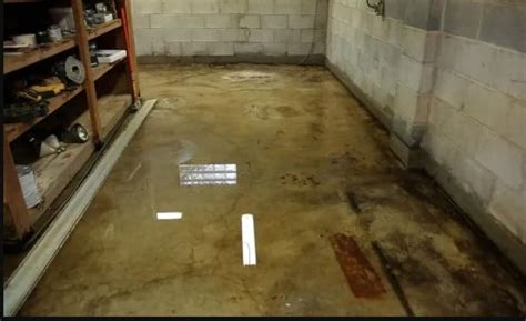 Why Does My Basement Smell Marietta Ky Basement Waterproofing New