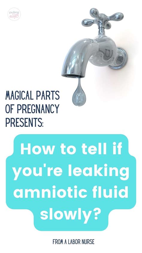 What Does Amniotic Fluid Look Like