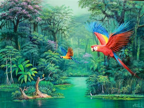 Macaw Art By José Moreno Aparicio Pinturas Da Natureza Pinturas