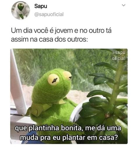 Pin de 4ng3l Lilith em Sweet Garden Frases engraçadas