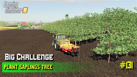 Plant Saplings Tree In One Field Big Challenge Farming