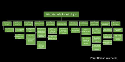 Mapa Conceptual Parasitolog A Tema Unidad Tarea Historia De La