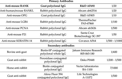 Primary And Secondary Antibodies And Conditions Of Utilization Download Scientific Diagram