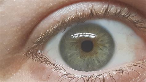 Hazel? I've heard blue hazel, green hazel, even grey at times... : r/eyes