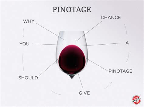 Give Pinotage Wine A Taste Wine Folly Wine Folly Wine Wine Tasting