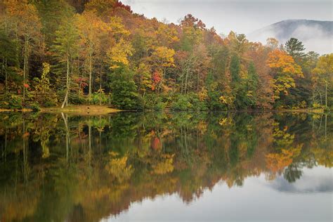 Fall At Vogel State Park Photograph by Michelle Wittmer-Grabowski - Pixels